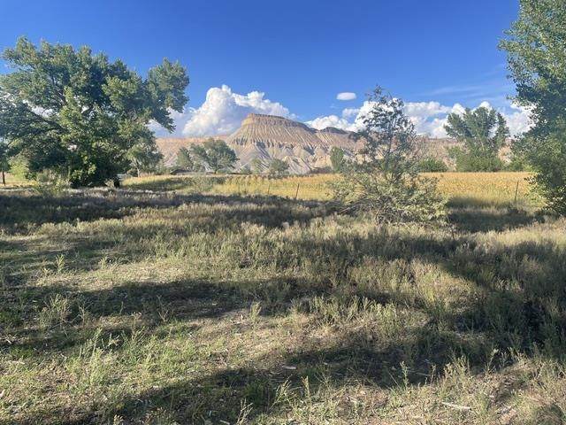 3463 Grand Valley Canal Road - Photo 1