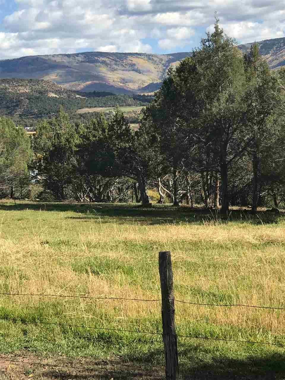 15716 58 7/10 Road - Photo 1