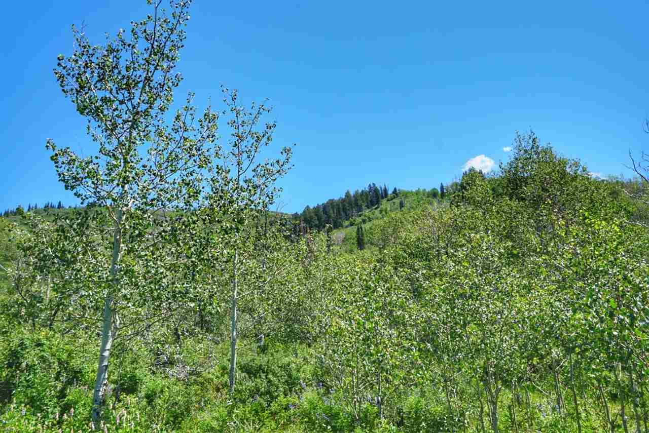 TBD 59 Road - Photo 1