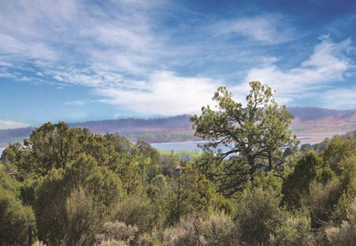 TBD Aa Road - Photo 1