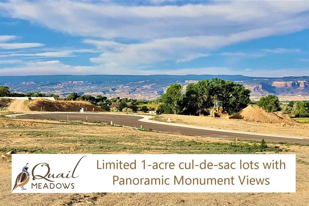 878 Quail Meadows Court - Photo 1
