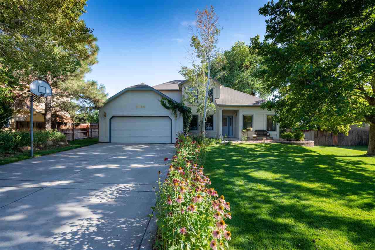 2565 Corral Drive - Photo 1