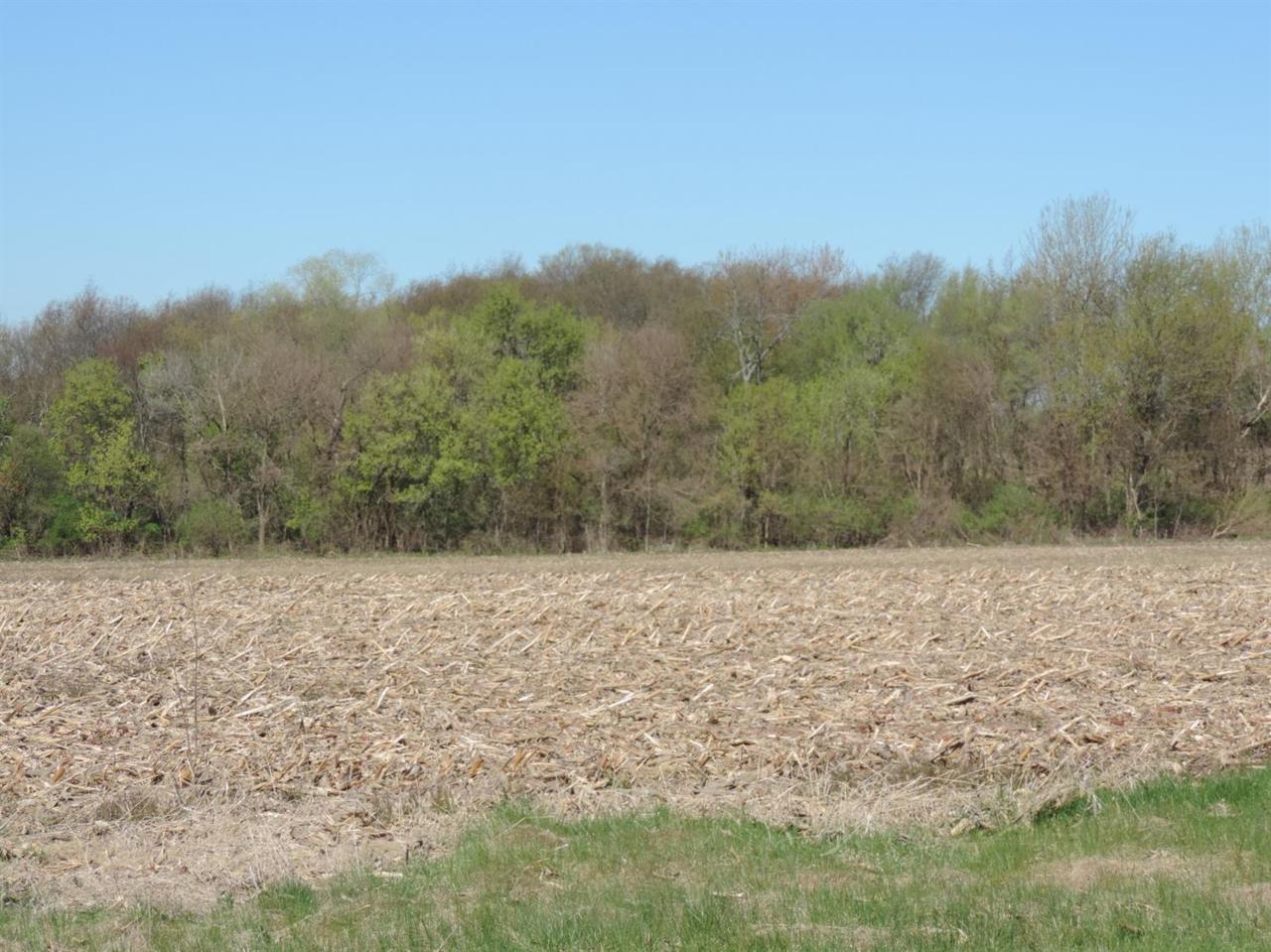0-lot 29 Morgan Road - Photo 1 0-lot 29 Morgan Road - Photo 1