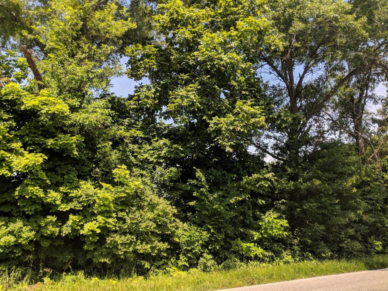 0 County Line Road - Photo 1