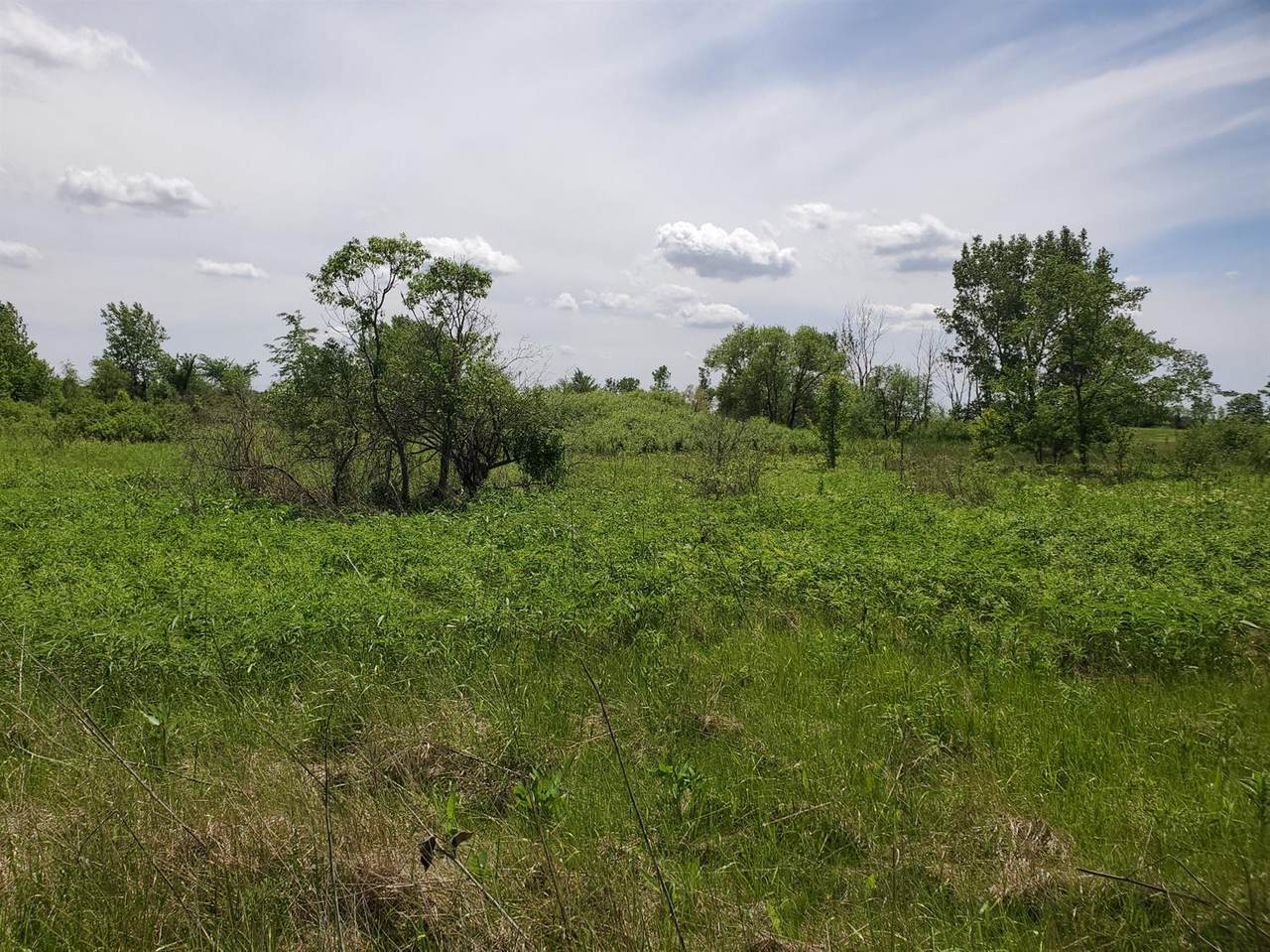 8137-8223 Hwy 231 - Photo 1