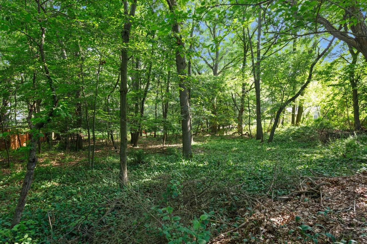 0 Shady Oak Drive - Photo 1