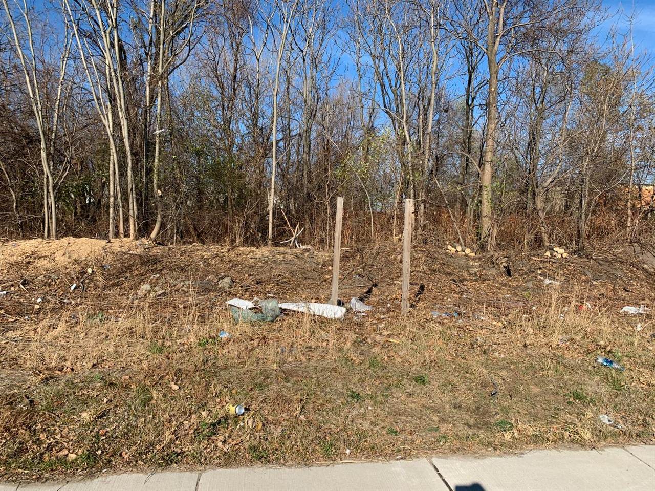 1421 Chicago Street - Photo 1