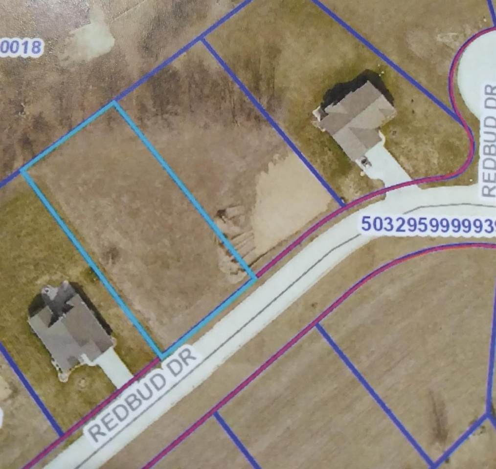11889 Redbud Drive - Photo 1
