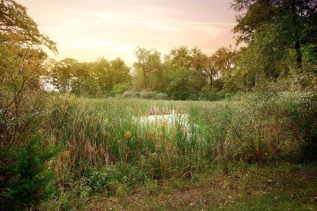 16655-Lot 79 Noble - Photo 1