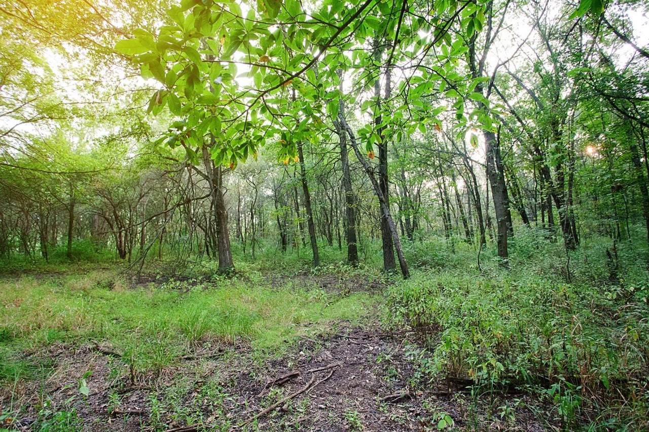 4310-Lot 18 166th Lane - Photo 1