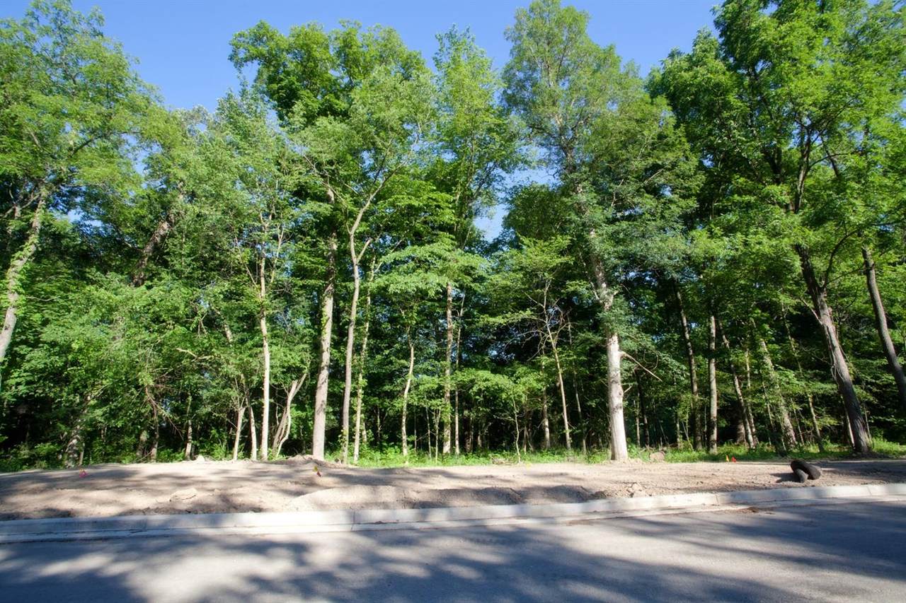 4350-Lot 28 Willard Lane - Photo 1