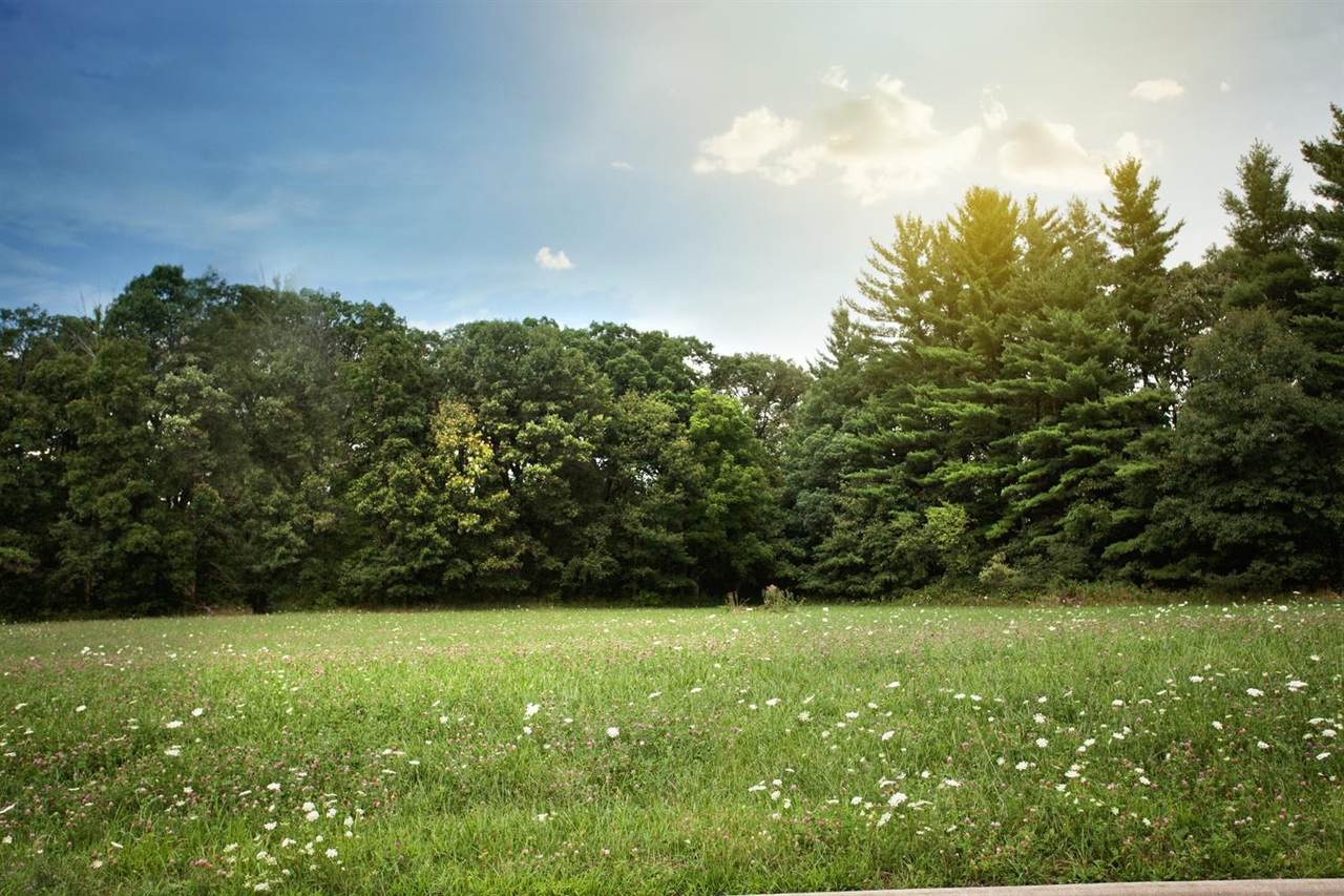 3923-Lot 87 166th Lane - Photo 1