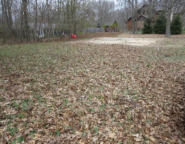 0 Redwing Trail - Photo 1