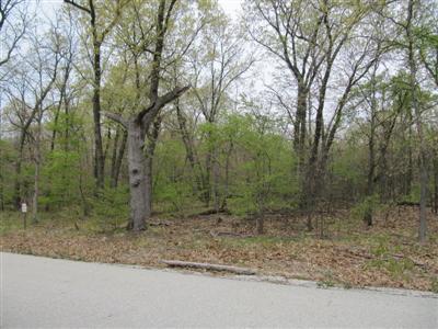 0 Mulligan Drive - Photo 1
