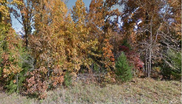 2650 388 - Photo 1