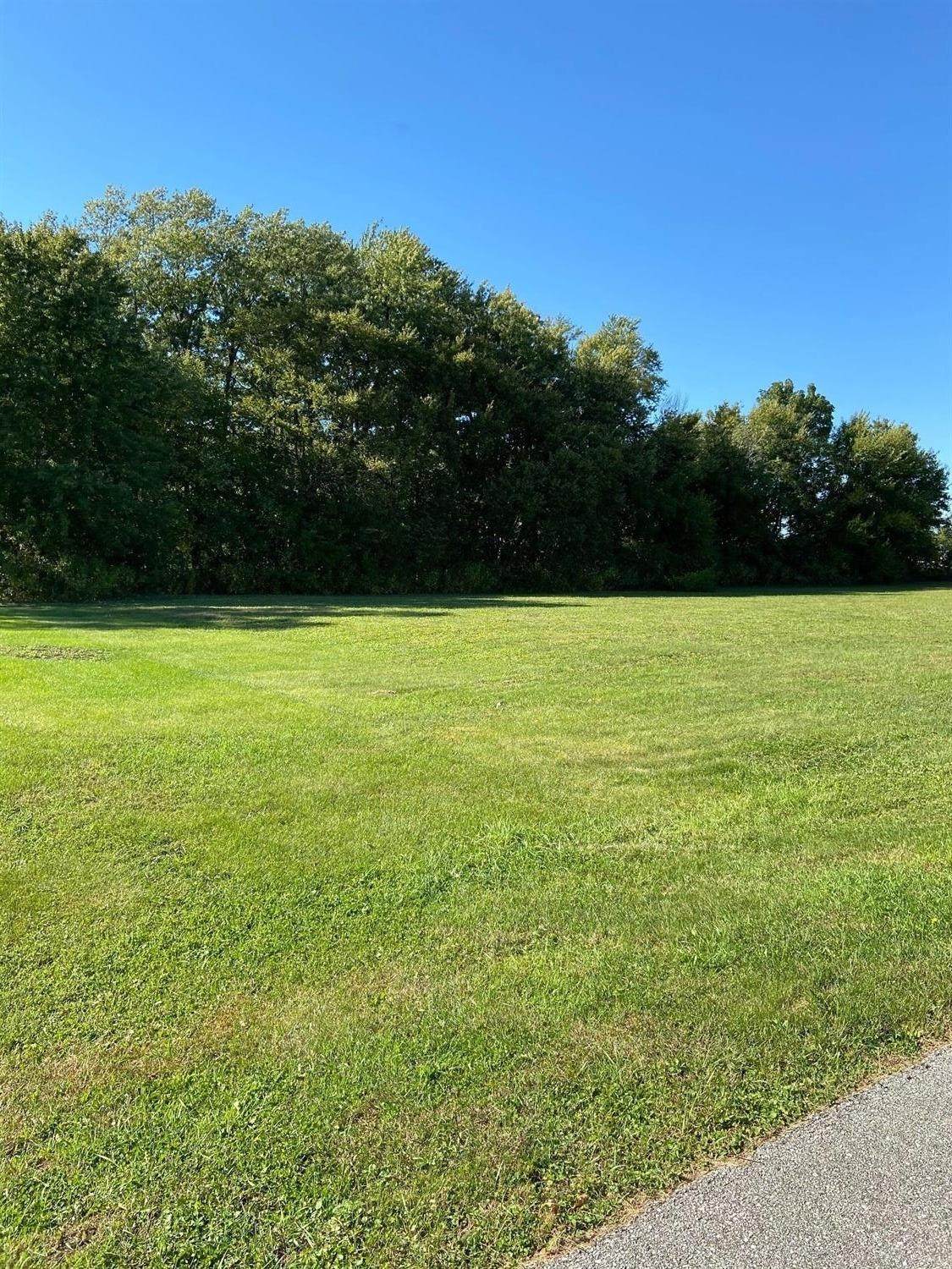 1005 Scott Street - Photo 1