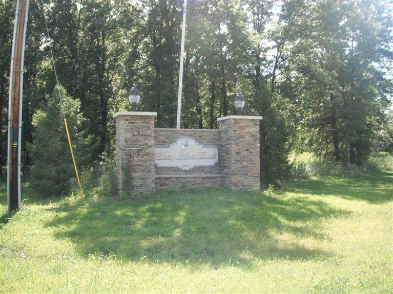 0 Lot 69 Nelson Lane - Photo 1
