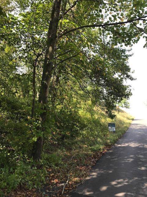 0 Lake Shore Co Road - Photo 1