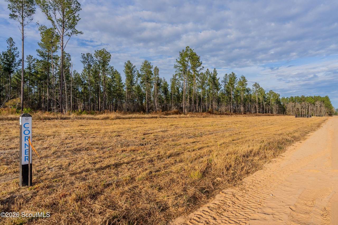 https://bt-photos.global.ssl.fastly.net/goldenisles/1280_boomver_1_2000262-2.jpg