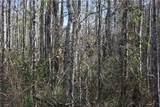 0 Joseph Wiggins/Mineral Springs Rd Road - Photo 4