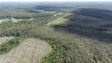 0 County Line Road - Photo 13
