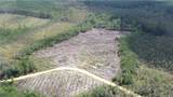 0 County Line Road - Photo 19