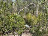 0 County Line Road - Photo 67