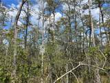 0 County Line Road - Photo 68