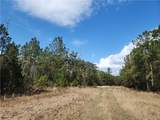 1012 Star Ranch Road - Photo 13
