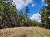 1012 Star Ranch Road - Photo 14