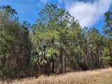 1012 Star Ranch Road - Photo 15