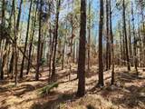 1012 Star Ranch Road - Photo 30