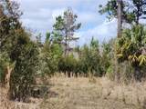 1012 Star Ranch Road - Photo 32