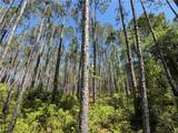 8.84 Strickland Road - Photo 10