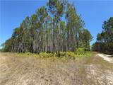 8.84 Strickland Road - Photo 7