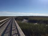 Lot 151 Sapelo Park Dr. Ne Drive - Photo 10