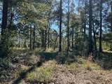 Lot 151 Sapelo Park Dr. Ne Drive - Photo 4