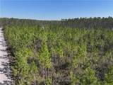 0 Tract 6 Hwy 341 & Bennett Mill Road - Photo 1