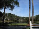 2416 Belvedere Drive - Photo 11