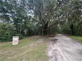 1182 Fiddler Crab Drive - Photo 6