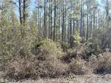 18 Satilla Plantation - Photo 1