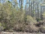 18 Satilla Plantation - Photo 4