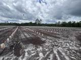 00 Swamp Road - Photo 40