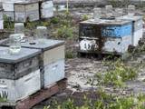00 Swamp Road - Photo 41