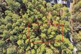 105 Green Buoy Court - Photo 1
