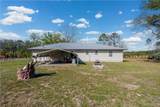 6291 Riverside Rock Road - Photo 19