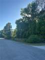 Lot 52 Pelican Lane - Photo 2