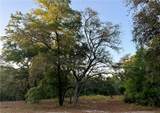 6005 & 6007 Tree Top Lane - Photo 5