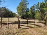 1012 Star Ranch Road - Photo 1