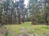 1111 Fiddler Crab Drive - Photo 3